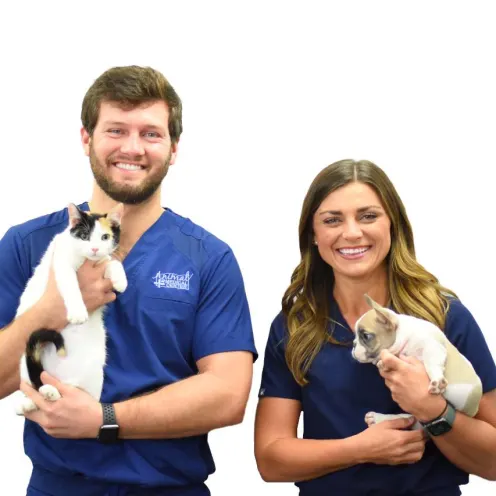 Staff holding cat and dog